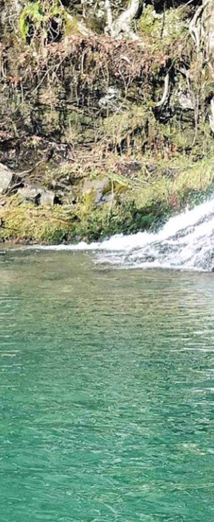 Epic Views Waterfall Cabin — photo 4