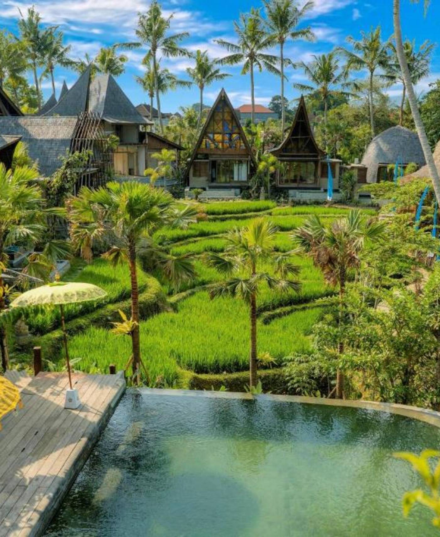 Menzel Ubud - One Bedroom Ethnic Villa, Plunge Pool — photo 1