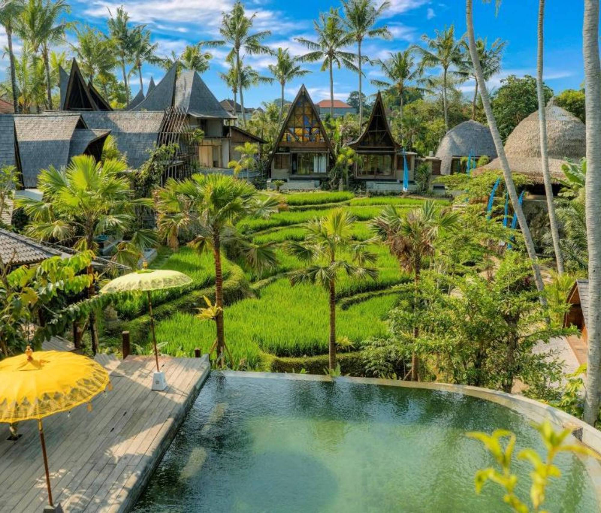 Menzel Ubud - One Bedroom Ethnic Villa, Plunge Pool — photo 1